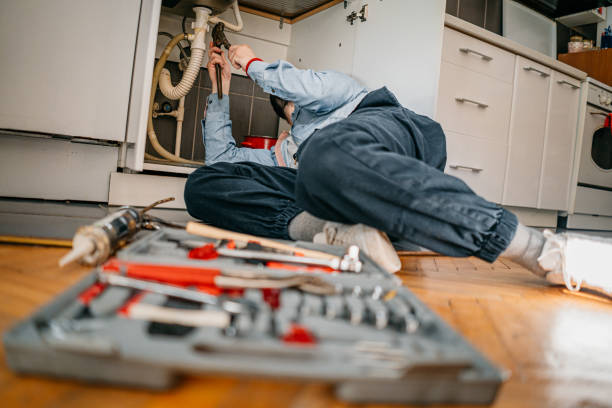 Best Local Plumber Services  in Sun Prairie, WI